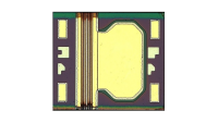 DMLs